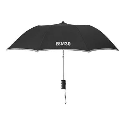 Image of 21 inch 2 fold umbrella