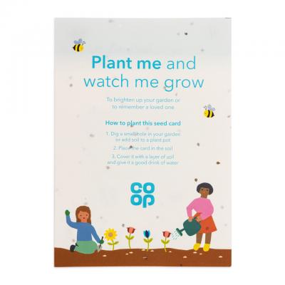 Image of Seed Paper A5 - 140gsm Seed Paper